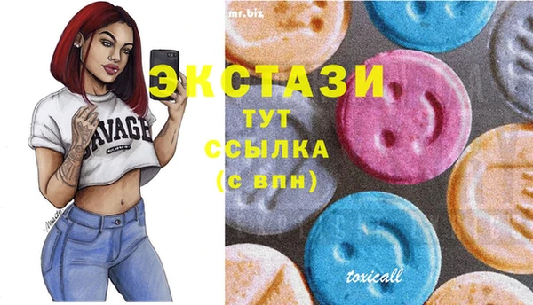 mix Богородицк