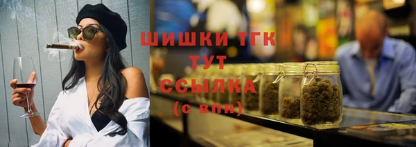 mix Богородицк
