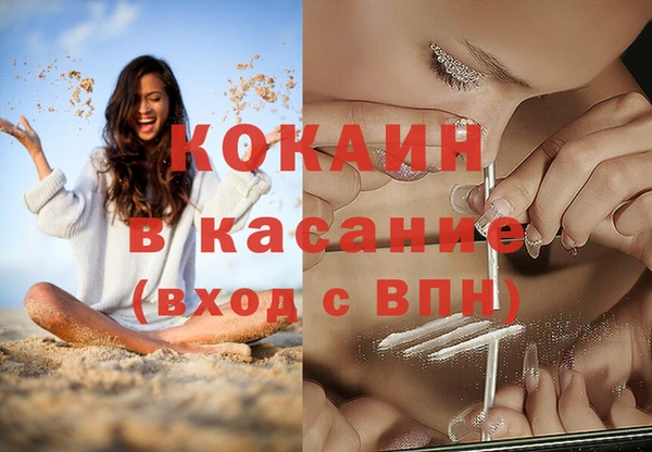 mix Богородицк