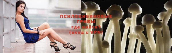 mix Богородицк