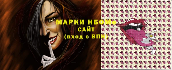 mix Богородицк