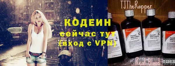 mix Богородицк