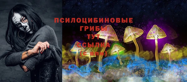 mix Богородицк