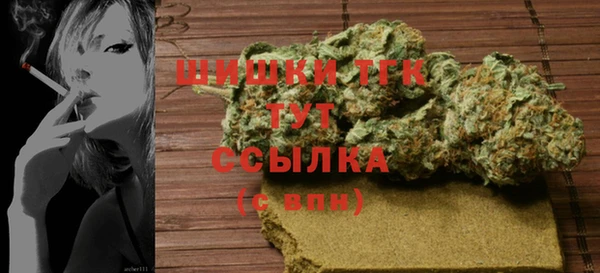 mix Богородицк