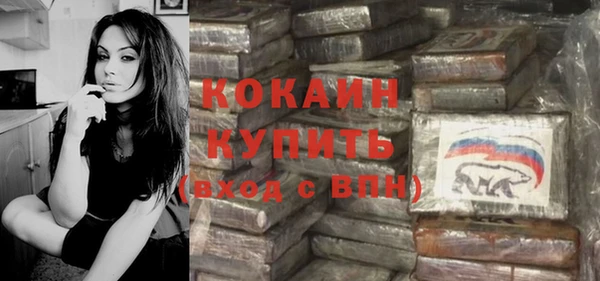 mix Богородицк